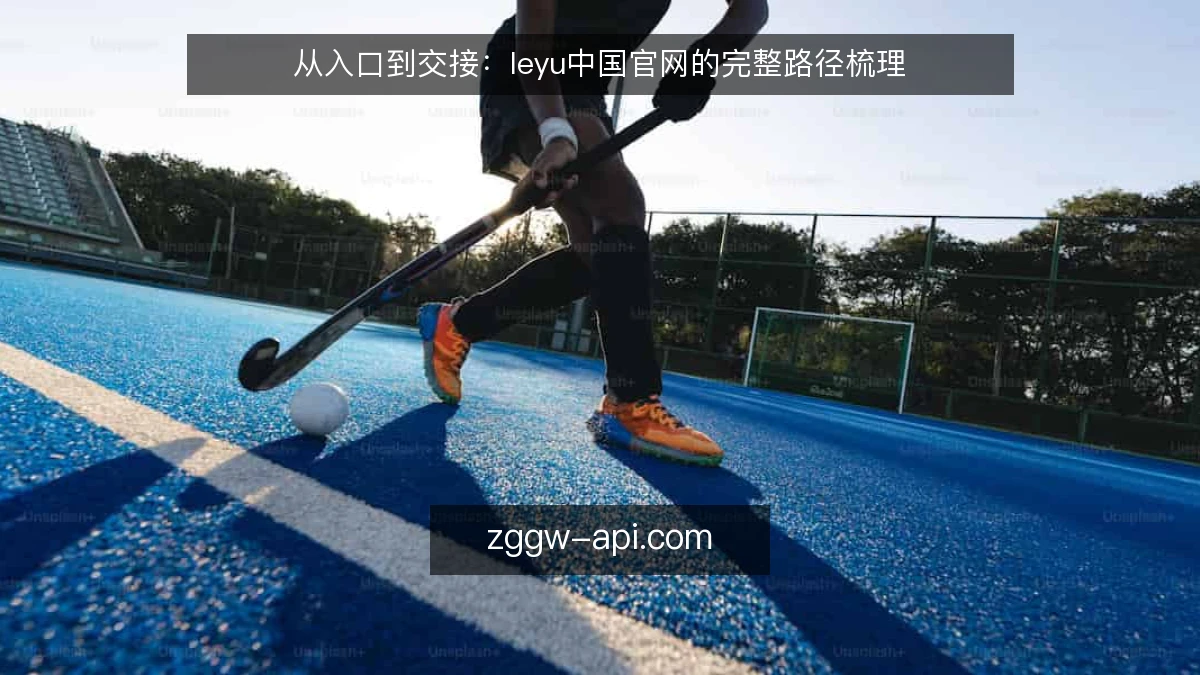 从入口到交接:leyu中国官网的完整路径梳理