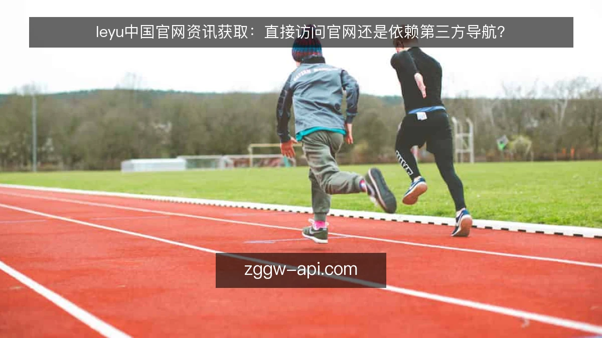 leyu中国官网资讯获取：直接访问官网还是依赖第三方导航？