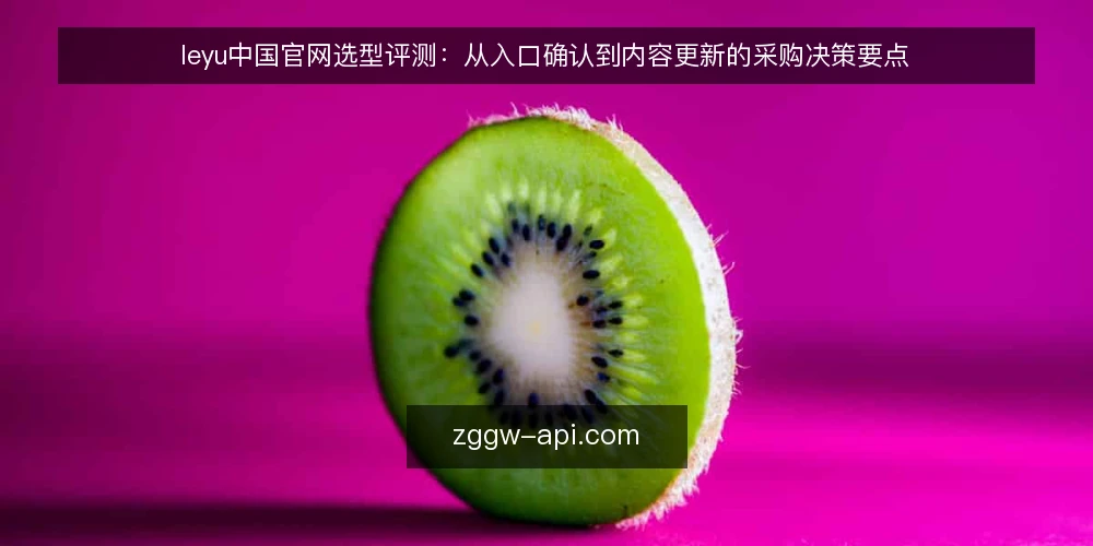 leyu中国官网选型评测:从入口确认到内容更新的采购决策要点 — 先明确采购需求:你要用官网做什么 配图