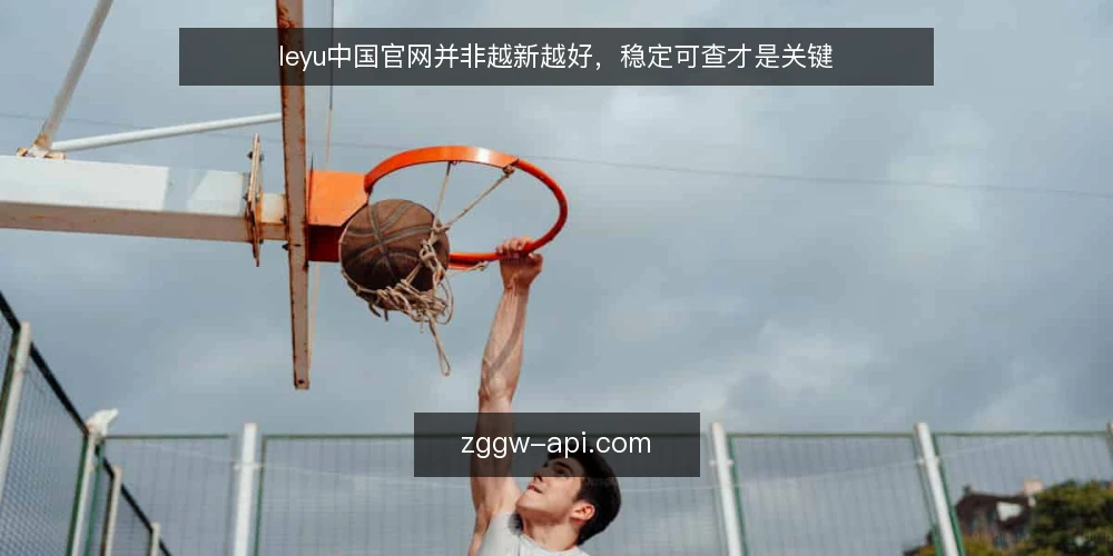 leyu中国官网并非越新越好,稳定可查才是关键 — 信息焦虑下的官网选择困境 配图